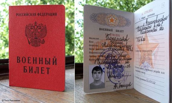 прописка в Курской области